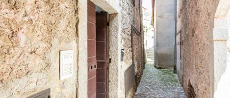 A narrow cobblestone alleyway between buildings with stone walls and a metal door.