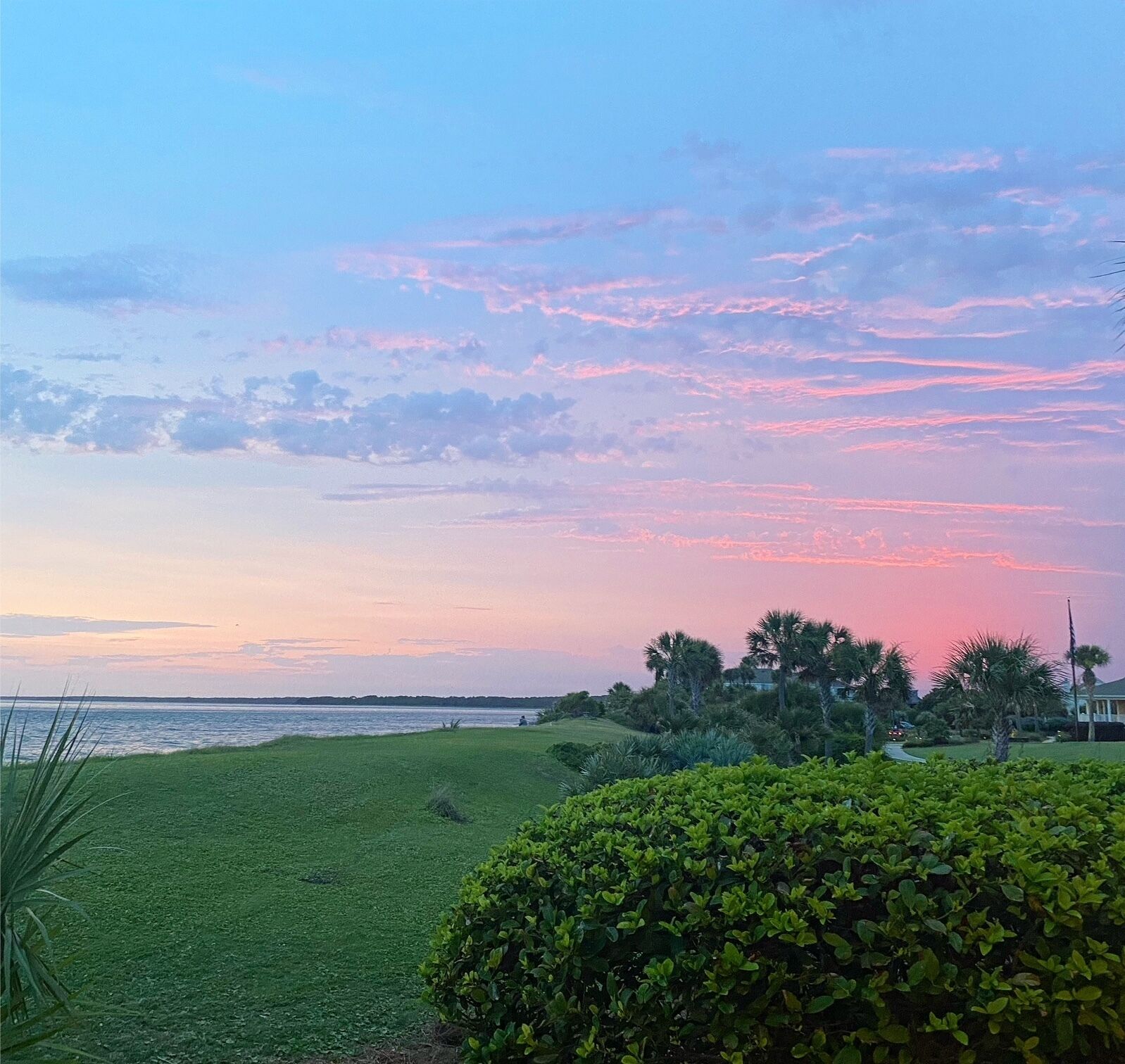 A grassy area with a view of the water and a sunset sky.