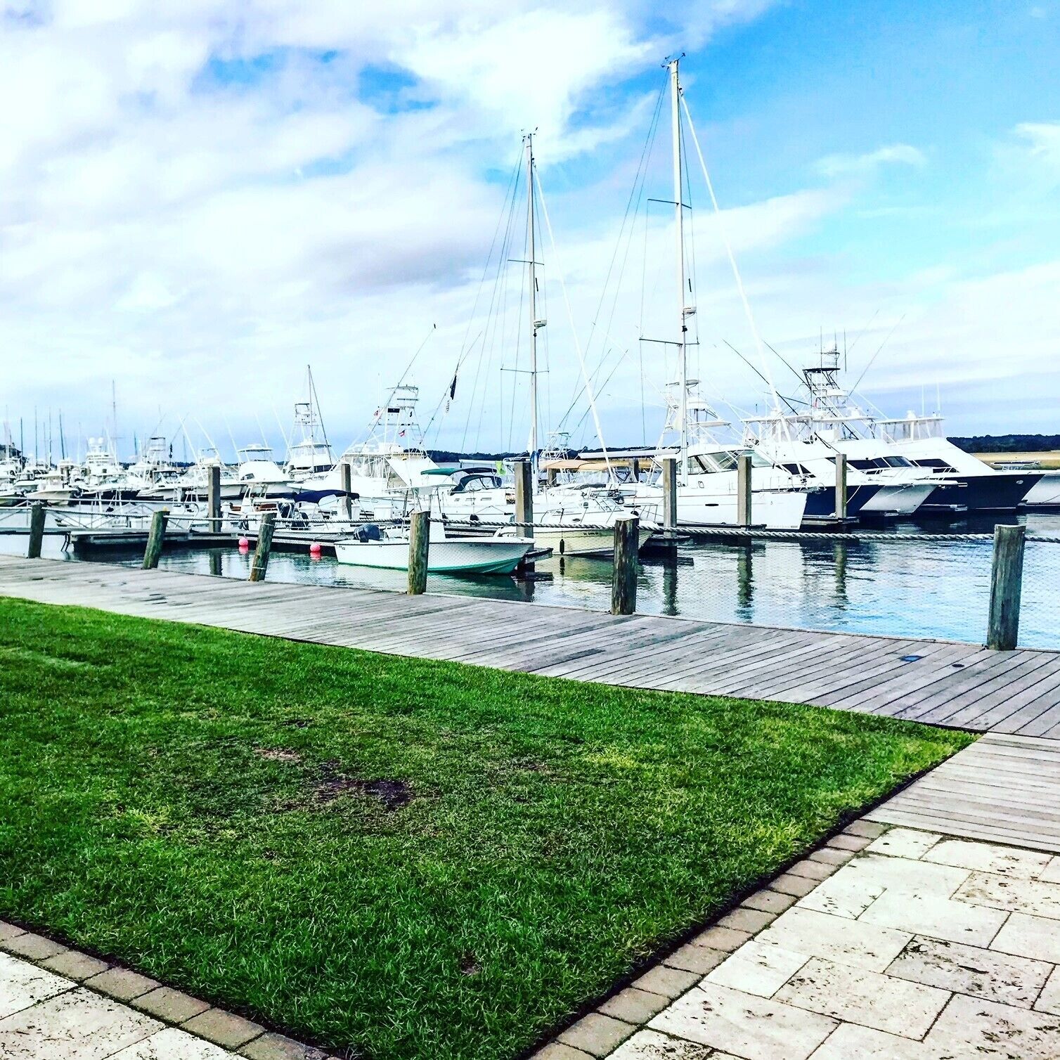 Una marina con diverse imbarcazioni ormeggiate, una zona verdeggiante e una passerella in legno.