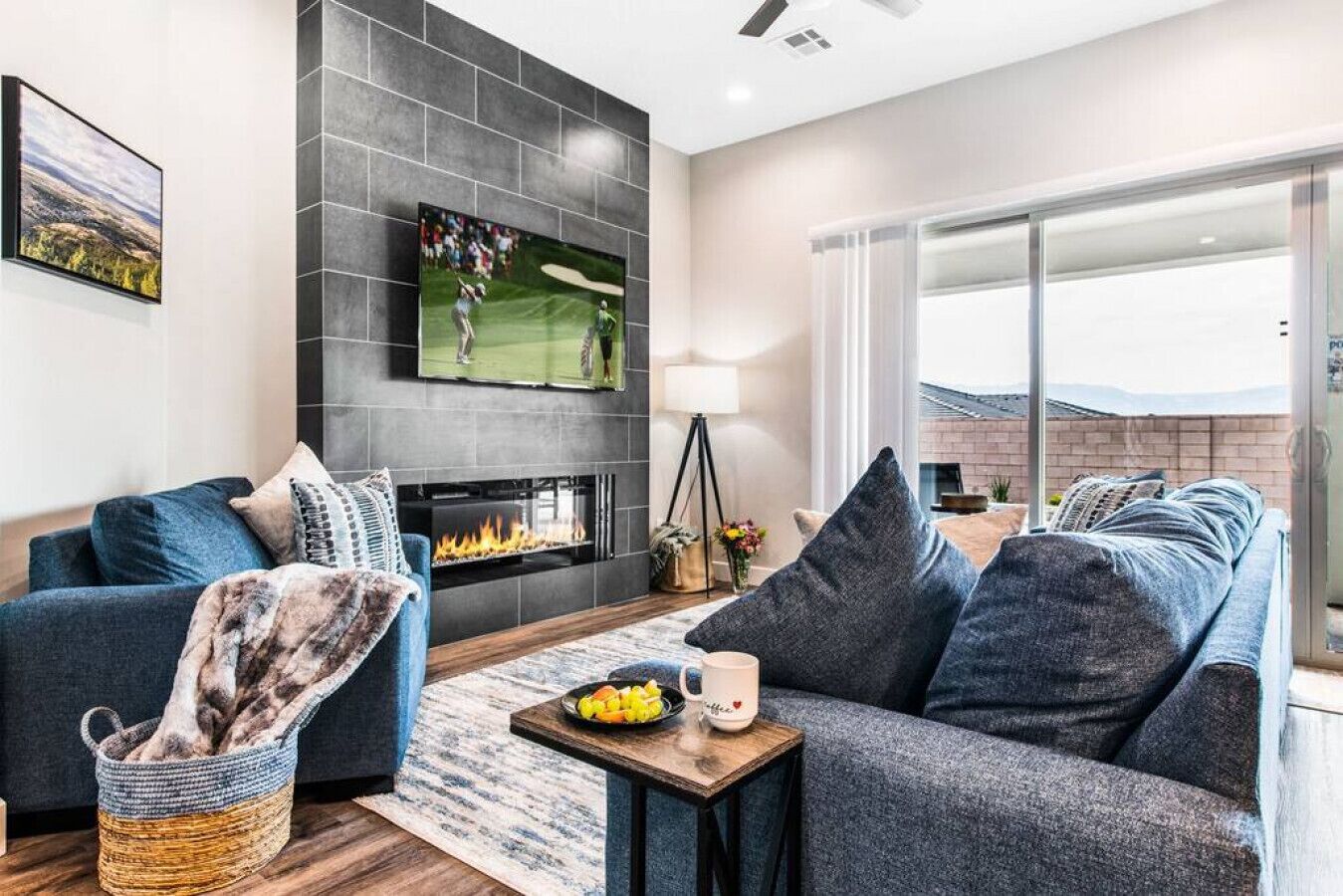 Smart TV, fireplace, books