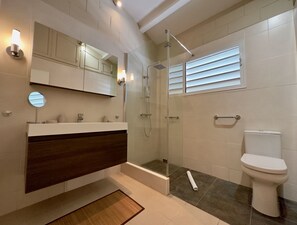 Douche, séchoir à cheveux, serviettes fournies