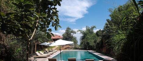Una piscina con sillones de descanso y sombrillas, rodeada de abundante vegetación.