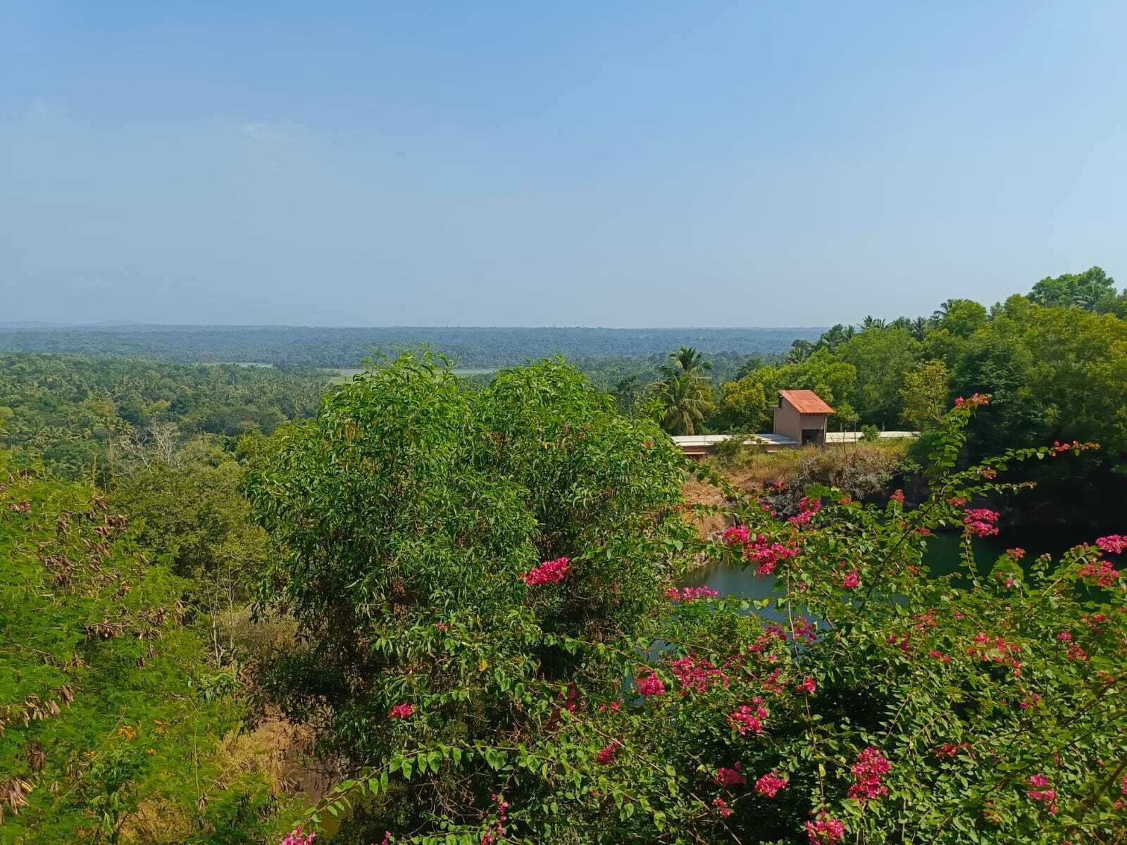Vista de un paisaje verde y exuberante con una pequeña construcción rodeada de vegetación densa y plantas en flor.