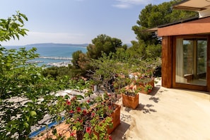 Terras