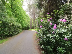 Property grounds - The Coach House (Riding Mill)