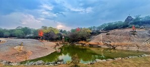 A serene landscape with a pond, rocky terrain, and trees. - Barabagh Deogarh (Devgarh)