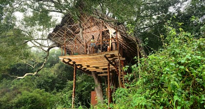 Family Tree House in the Jungle Close to Sigiriya