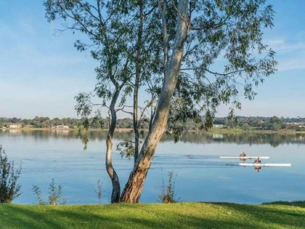 Un lago tranquilo con un árbol en primer plano y un bote en el agua.