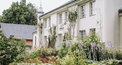 Kleines Schloss Lanke: Blick in den Wald