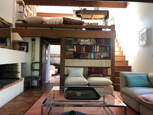Une pièce de style loft avec un lit en mezzanine, une bibliothèque, une table basse en verre, un canapé et une cheminée.