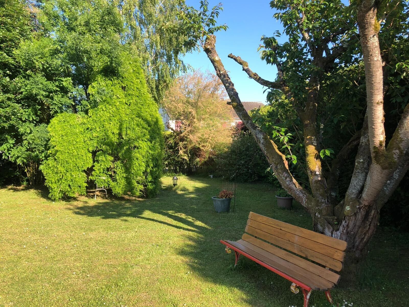 A bench in a garden with trees and a clear sky.