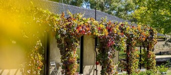 Magnificent Serene Country Retreat
