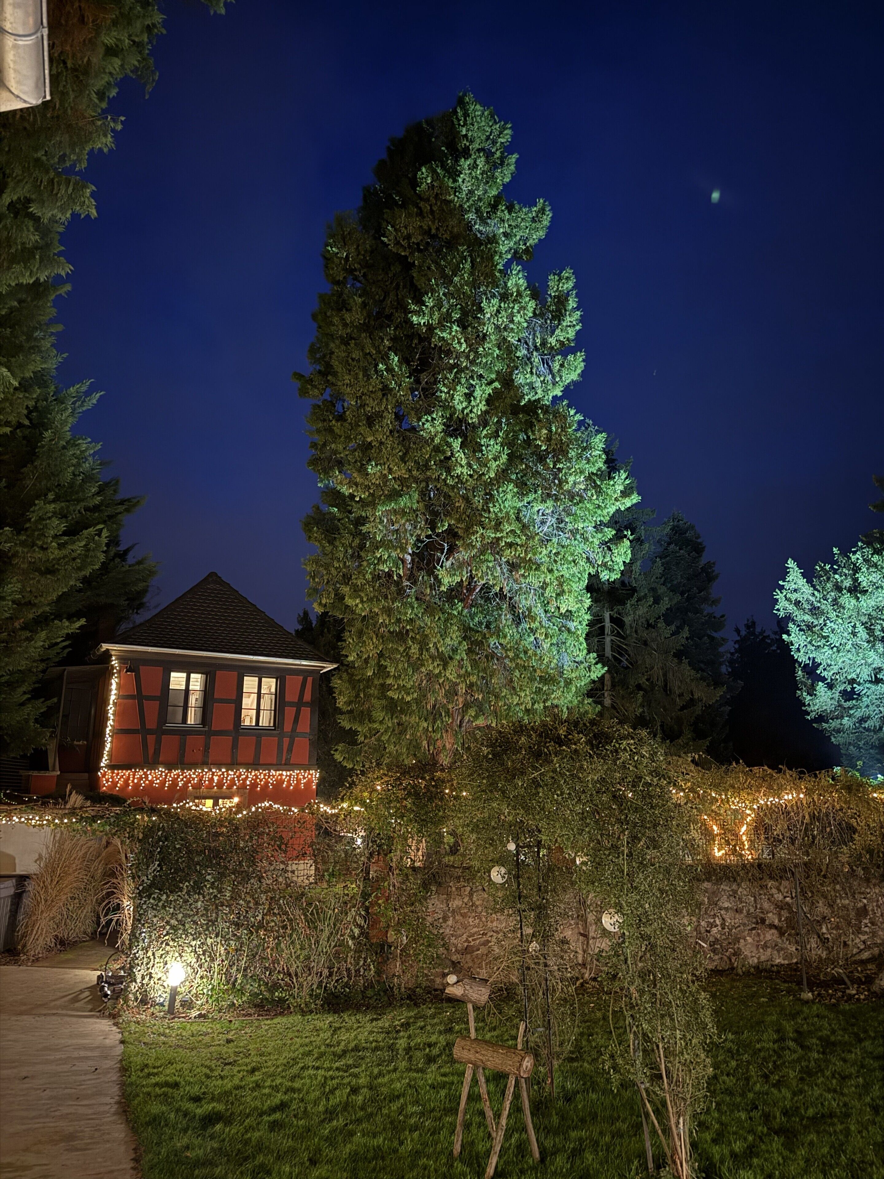 A house with a visible garden area, a pathway, and a large tree.