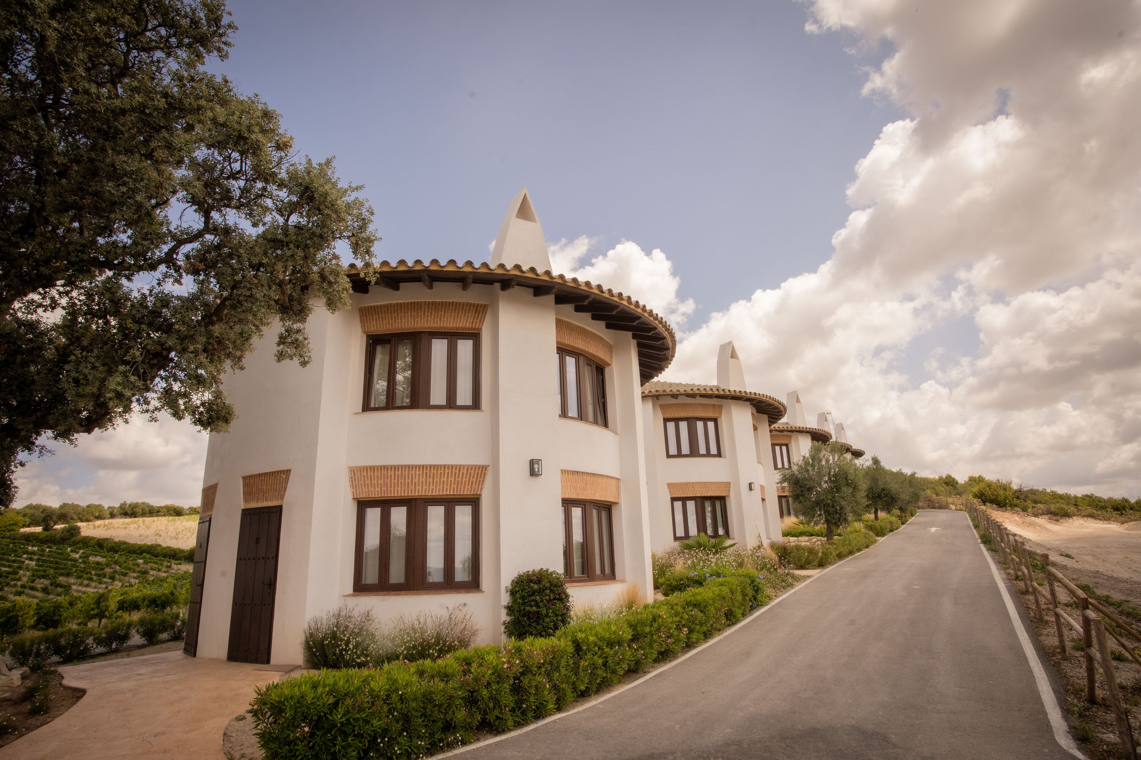 Una villa moderna con techo curvo, ventanas amplias y camino de entrada pavimentado.