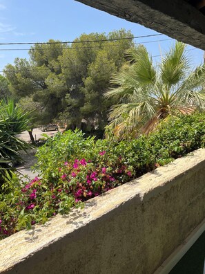 Property grounds - Maison sur la Côte Bleue (Sausset-les-Pins)