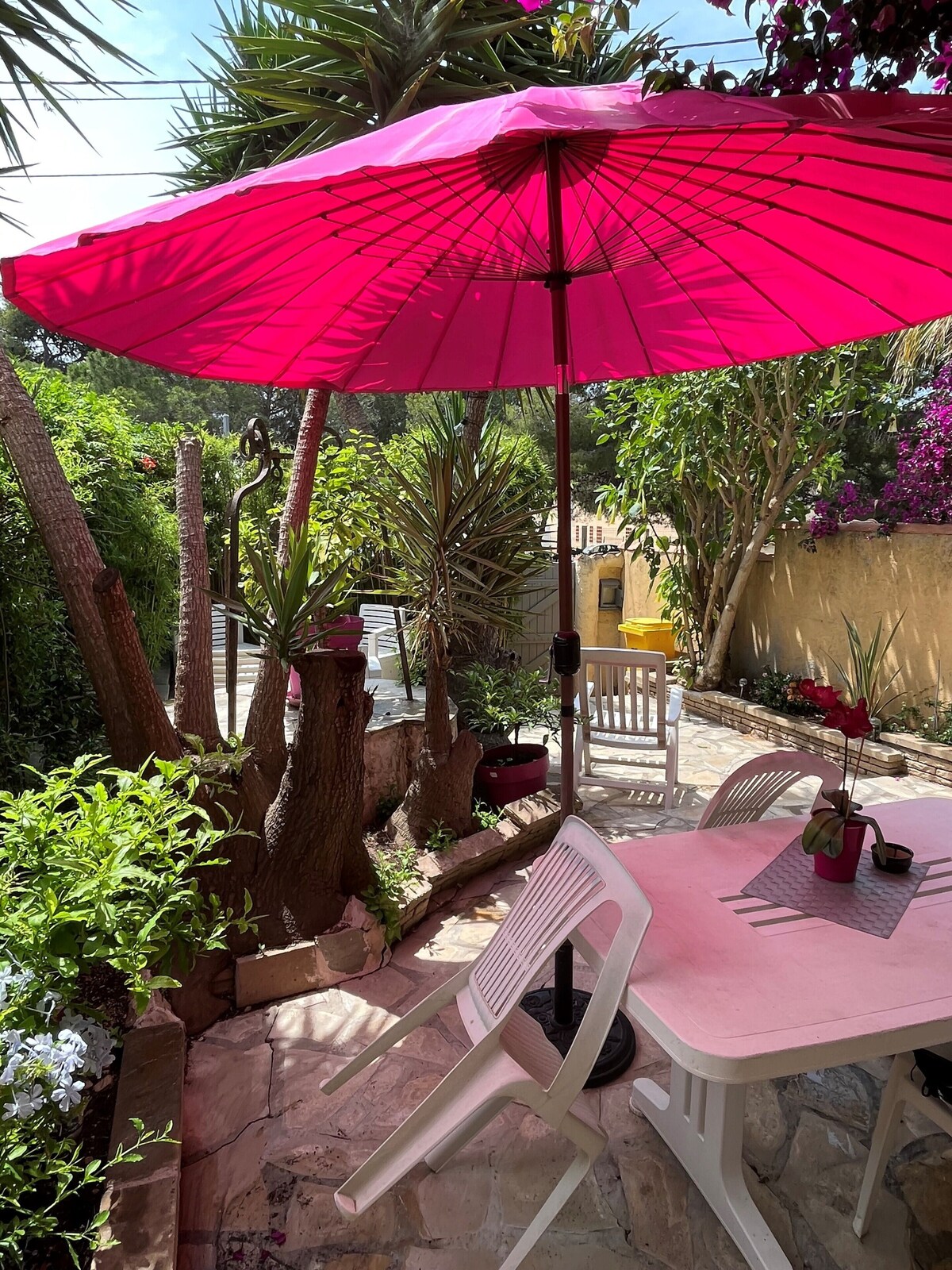 オーナーのプロフィール画像