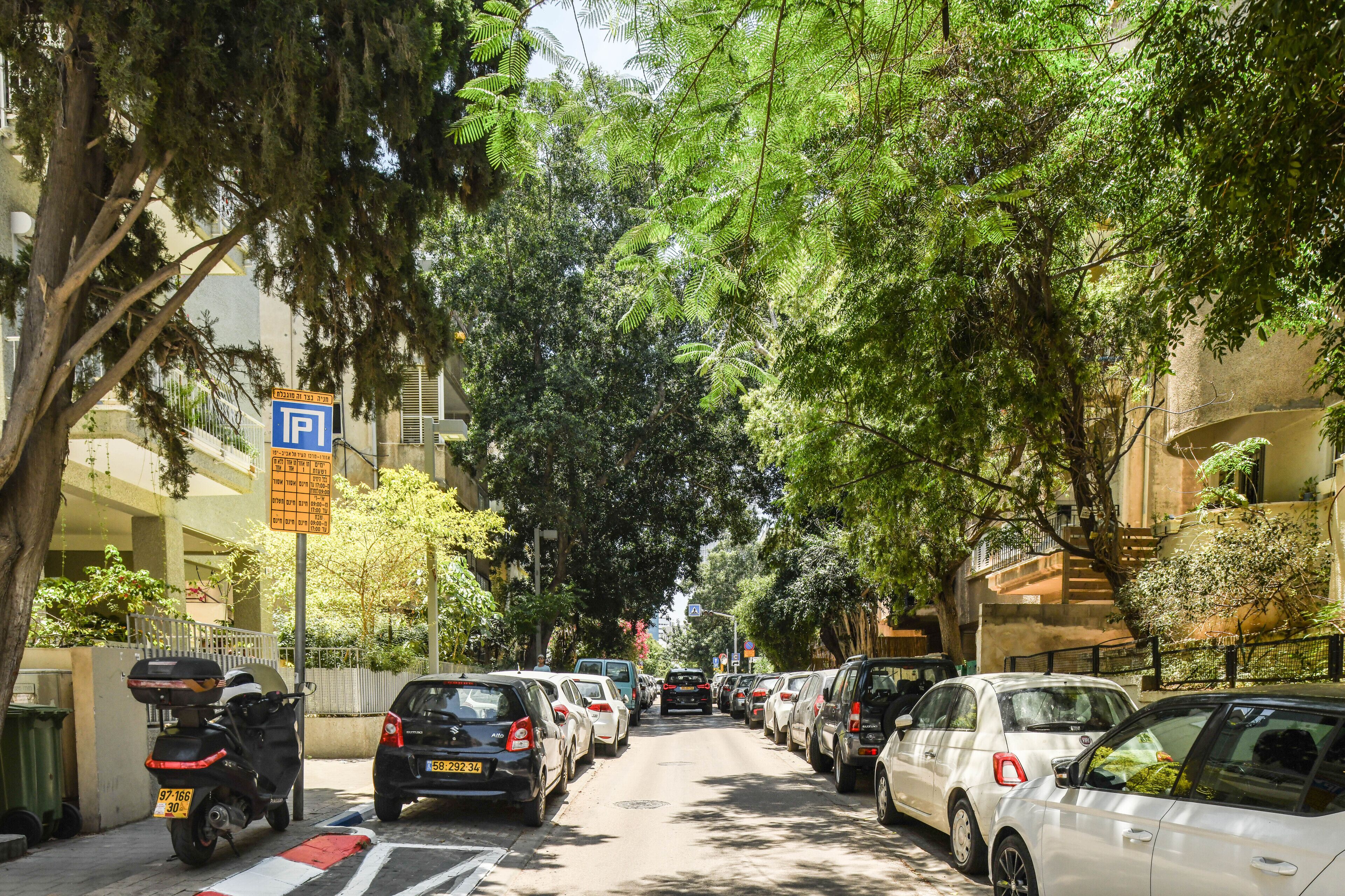 Une rue bordée d’arbres, avec des voitures garées et un panneau de signalisation bleu indiquant les places de stationnement.