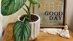 Una mesa de madera con una planta en maceta, un cartel enmaucado con texto en otro idioma y una pequeña estatua.
