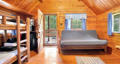 Cozy Rustic Cabin with Views