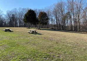 A grassy park area with picnic tables and trees. - Spacious Model Home in Bloomington (Bloomington)