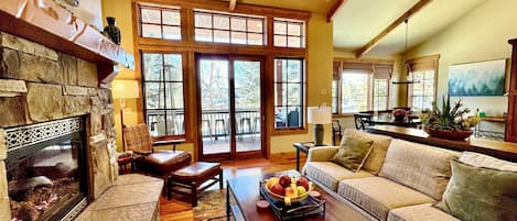 TV, fireplace, video games, books