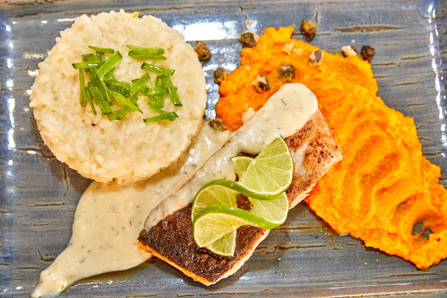 Un plato con un trozo de pescado a la parrilla, una rebanada de pan, puré de patatas y boniato.