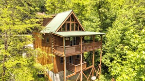 A wooden cabin with a balcony and a green roof, surrounded by dense forest.