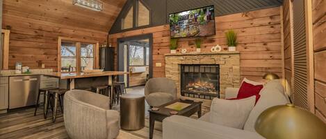 TV, fireplace, video games, DVD player