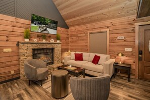 TV, peis, videospill og DVD-spiller