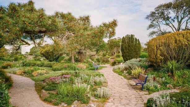 Een tuinpad met een bankje, omgeven door diverse planten en bomen.