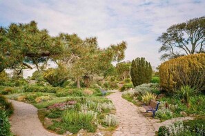 A garden pathway with a bench, surrounded by various plants and trees. - Character Victorian townhouse - conservation area (Portsmouth)