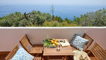 Apartment (2 Bedrooms) | Balcony