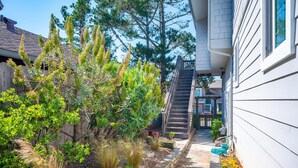 Una propiedad residencial con un estrecho sendero que lleva a una escalera de madera, rodeada de plantas y árboles.