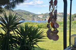 A coastal view with a large plant in the foreground, a clear sky, and distant buildings. - La Rotta by Solturelba (Capoliveri)