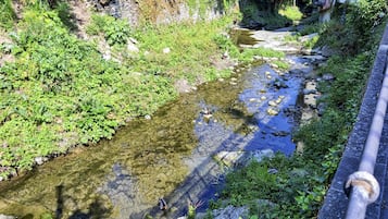 A clear stream with rocks and vegetation on the banks, a stone wall, and a metal railing.