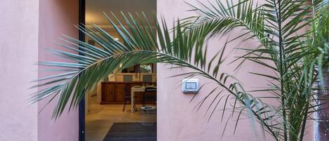 Apartment | 1 Schlafzimmer