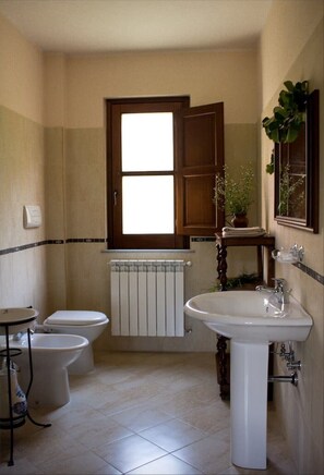 Dusche, Haartrockner, Bidet, Handtücher