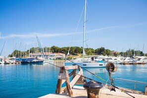 Marina - Villa Vital with private pool, jacuzzi, children playground and billiard in Vižinada (Vizinada)