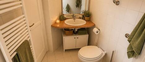 Shower, hair dryer, bidet, towels