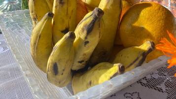 Ilmainen päivittäinen buffetaamiainen