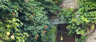 Maison de Village, La Couarde sur Mer, 10 Personnes