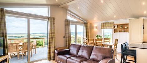 TV connectée, cheminée, lecteur de DVD