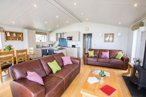 Smart TV, fireplace, DVD player