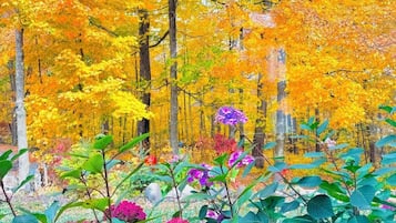 A forest with autumn foliage and pink hydrangea flowers.