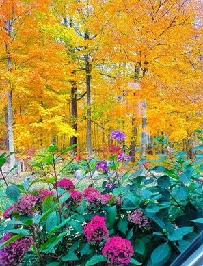 Property grounds - Walk to Road America & near Kohler Golf  ~ 
The Woods Estate ~ Modern Luxury (Plymouth)