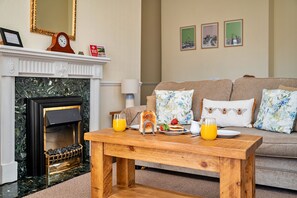 Smart TV, fireplace, books