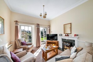 Smart TV, fireplace, books