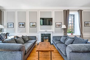 Televisión, chimenea y libros 