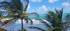 A beach with palm trees and ocean waves.
