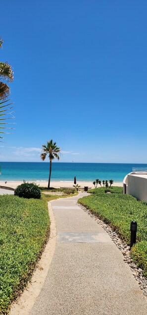 Een pad dat naar een strand leidt, met palmbomen en een helderblauwe lucht.